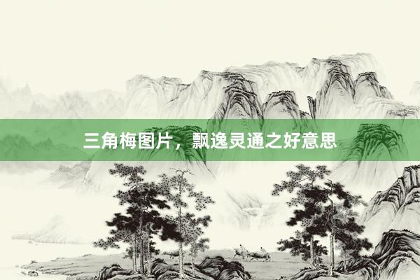三角梅图片，飘逸灵通之好意思