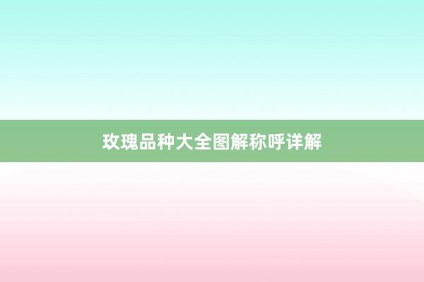 玫瑰品种大全图解称呼详解
