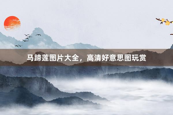 马蹄莲图片大全，高清好意思图玩赏
